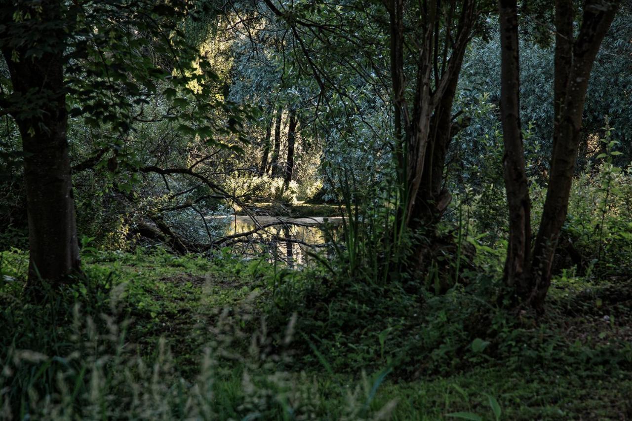 Les Cabanes Des Marais La Madelaine-sous-Montreuil Luaran gambar